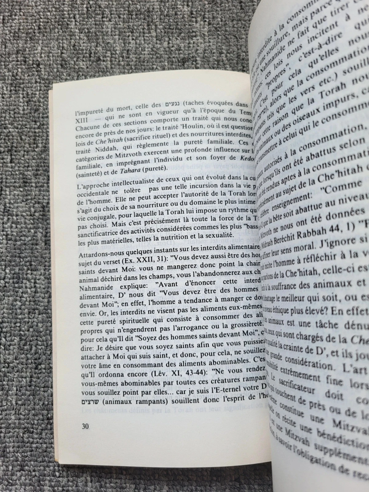 Book Emounah #13 Jewish Thought Rabbi Tsedaka Houtsin Judaism Torah – photo 4